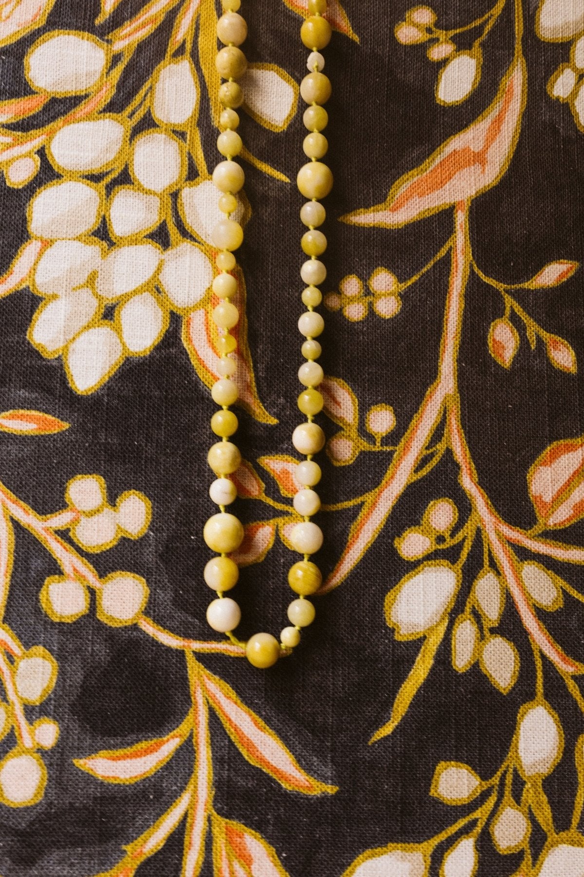 Álbum Aceitunas Blancas Pequeño - Mónica Ortega PhotosÁlbum Pequeño