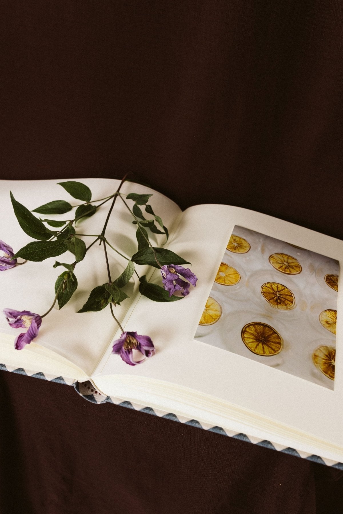 Álbum Azteca - Mónica Ortega PhotosÁlbum Grande