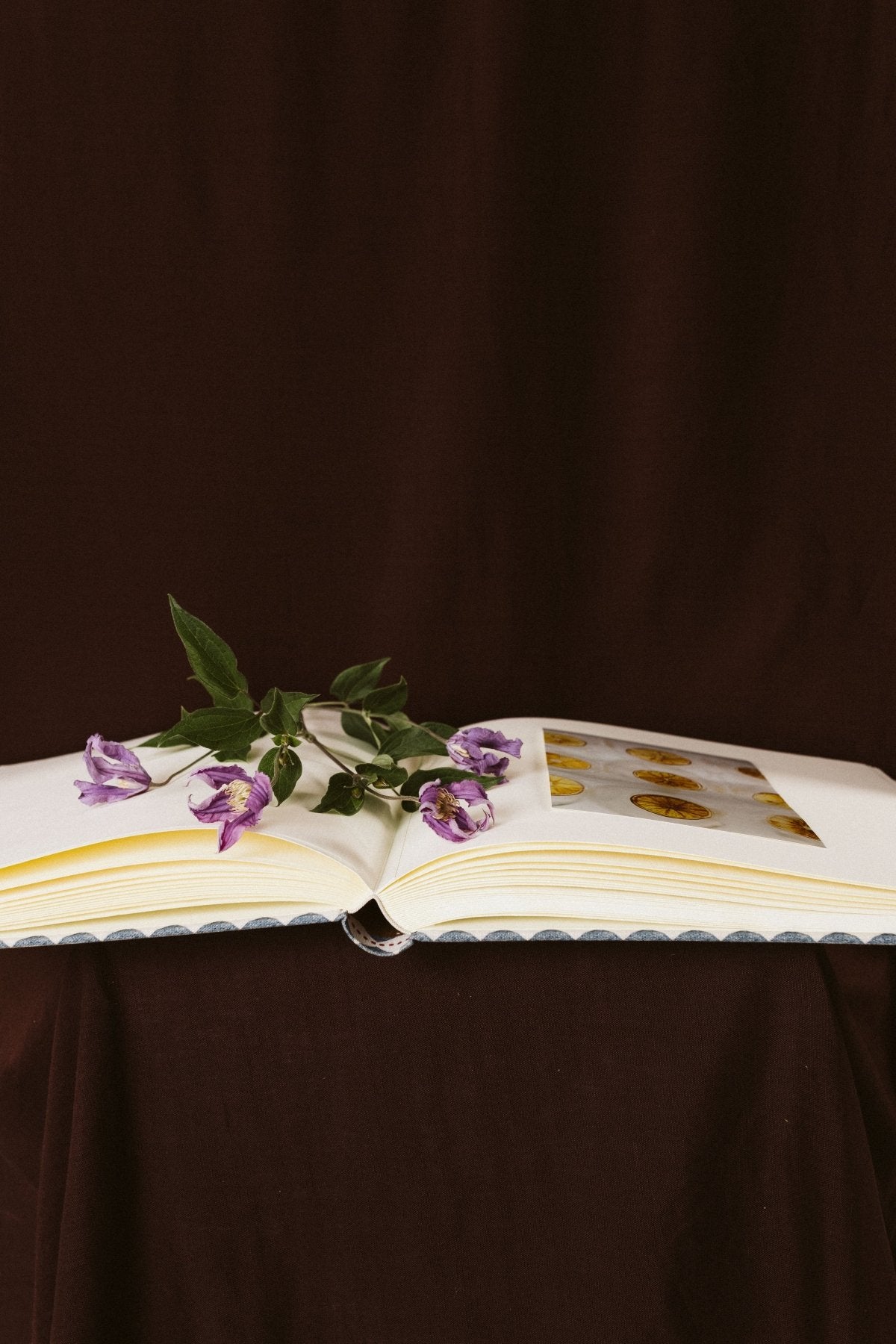 Álbum Azteca - Mónica Ortega PhotosÁlbum Grande