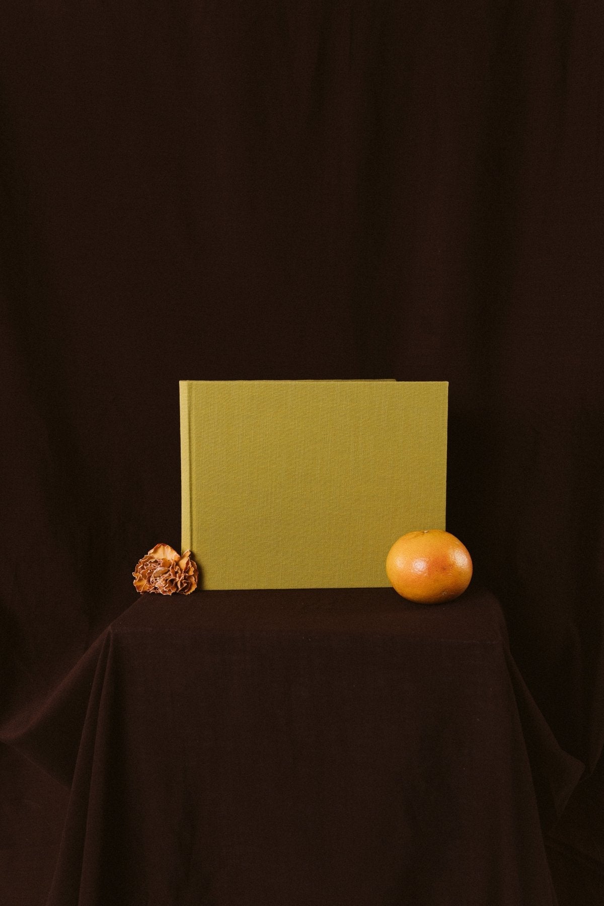 Álbum Mostaza Pequeño - Mónica Ortega PhotosÁlbum Pequeño