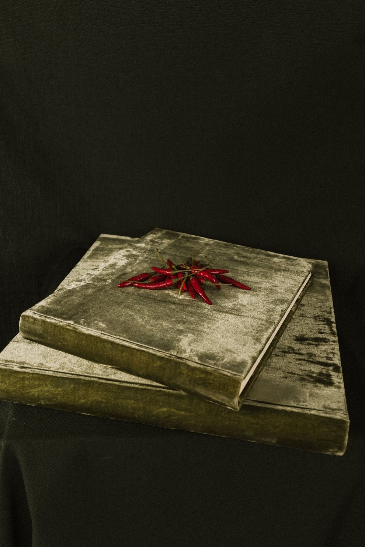 Álbum Terciopelo Edén Pequeño - Mónica Ortega PhotosÁlbum Pequeño