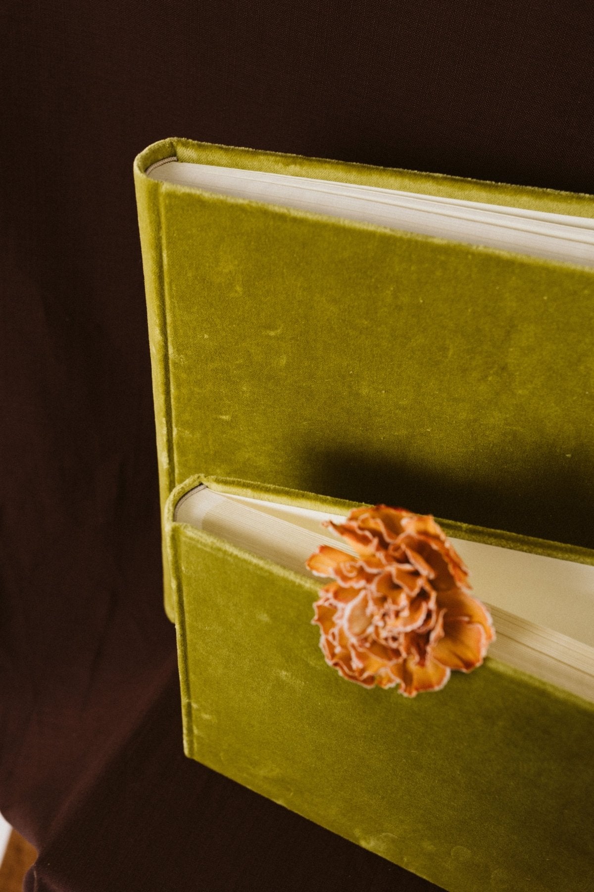 Álbum Terciopelo Oliva - Mónica Ortega PhotosÁlbum Grande