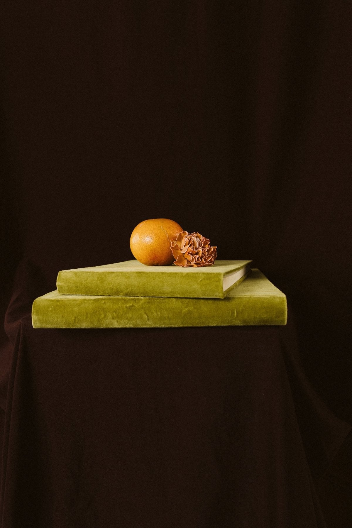 Álbum Terciopelo Oliva - Mónica Ortega PhotosÁlbum Grande