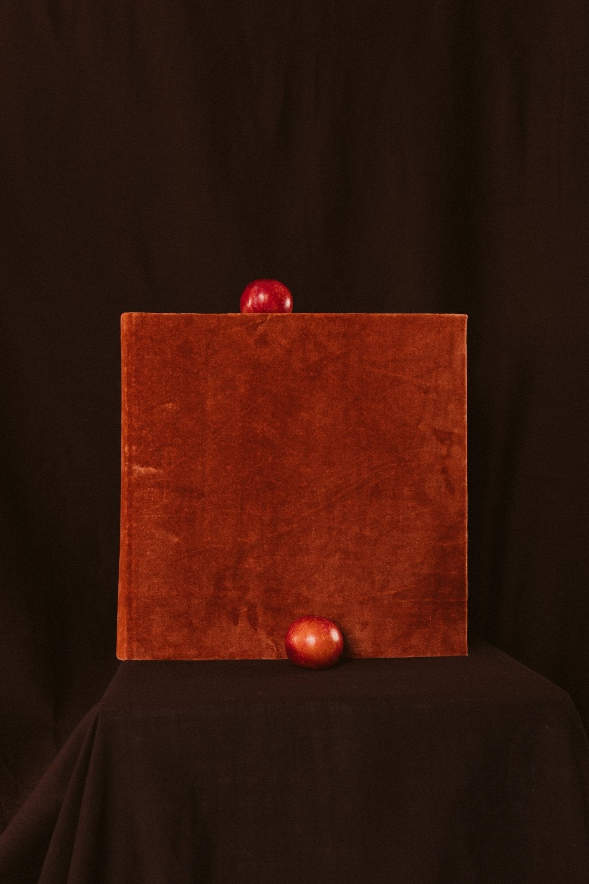 Álbum Terciopelo Sienna - Mónica Ortega PhotosÁlbum Grande