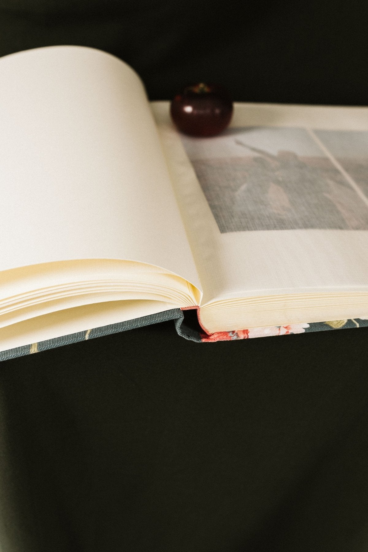 Álbum Tradicional Flores Azul y Rosa - Mónica Ortega PhotosÁlbum Grande