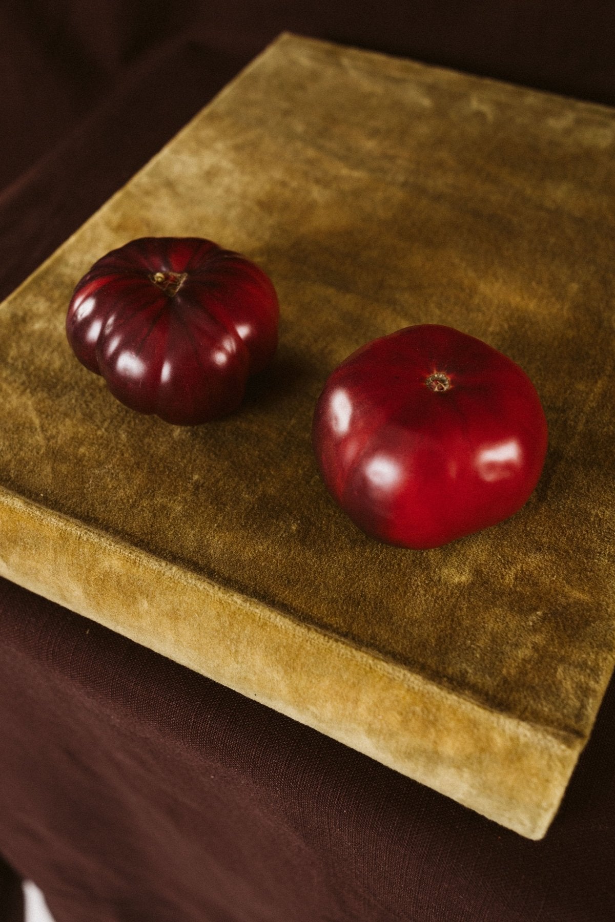 Álbum Tradicional Terciopelo Bronce - Mónica Ortega PhotosÁlbum Pequeño