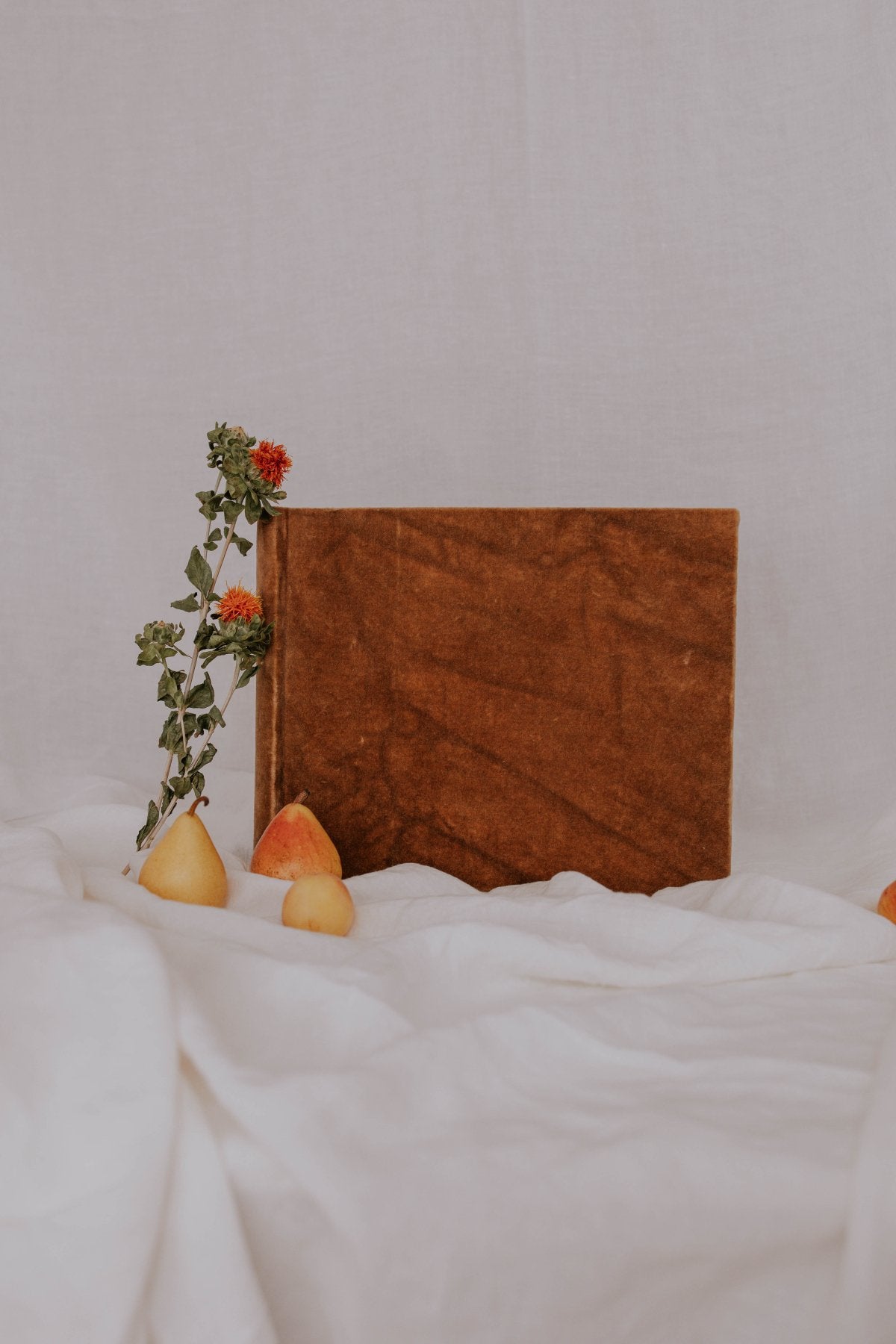 Álbum Tradicional Terciopelo Marrón - Mónica Ortega PhotosÁlbum Pequeño