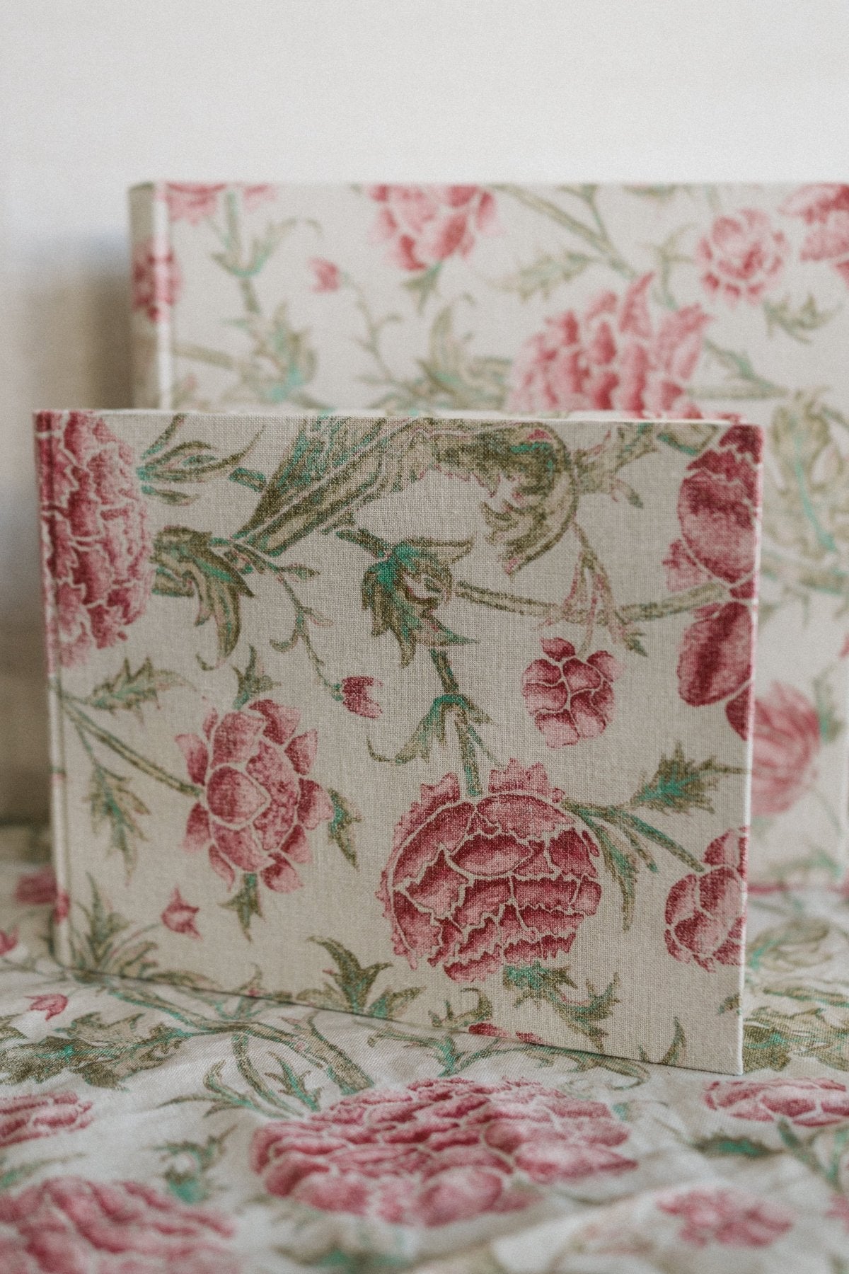 Hortensia Pequeño - Mónica Ortega PhotosÁlbum Pequeño