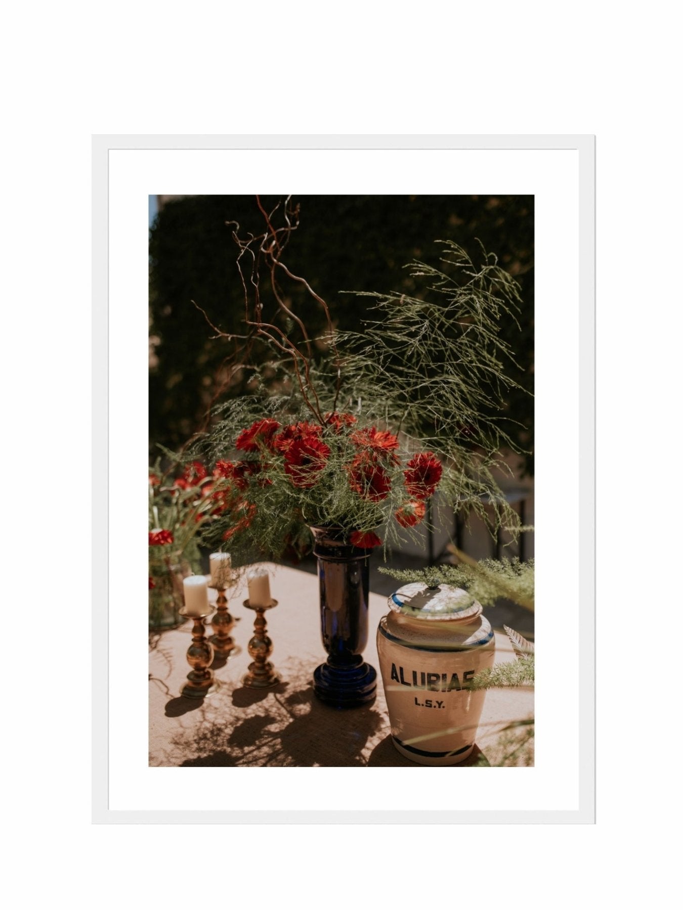 Lámina Alubias - Mónica Ortega PhotosLámina