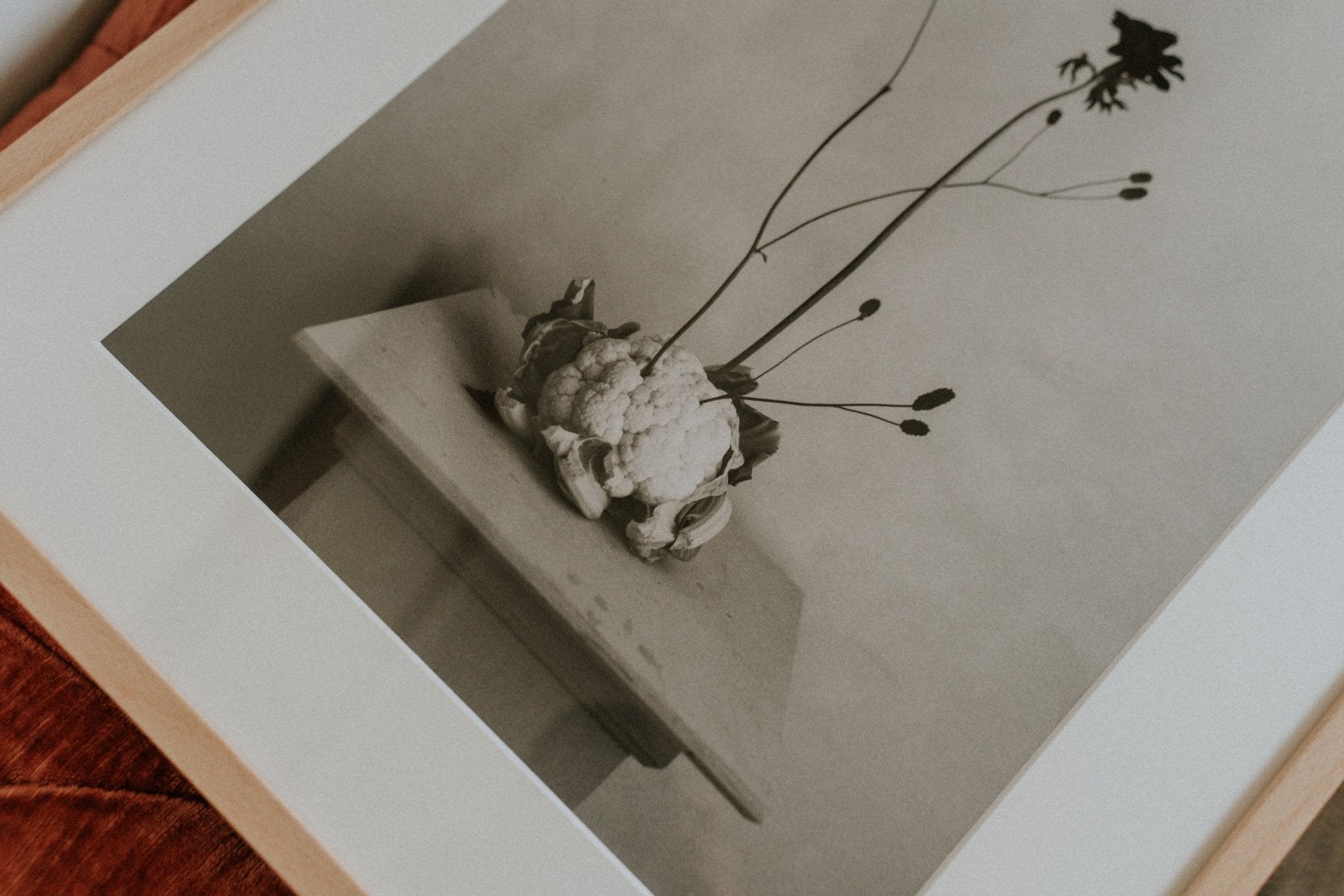 Lámina Delicadeza II - Mónica Ortega PhotosLámina