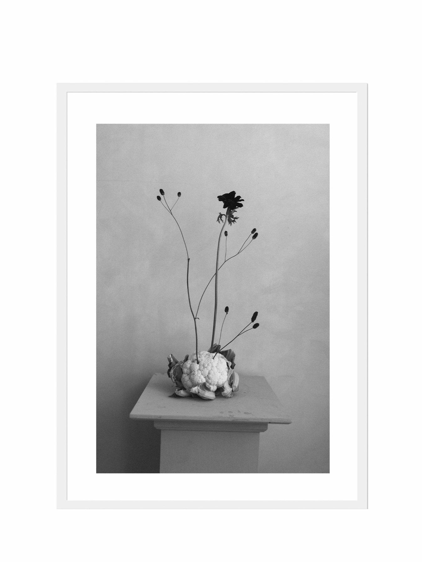 Lámina Delicadeza II - Mónica Ortega PhotosLámina