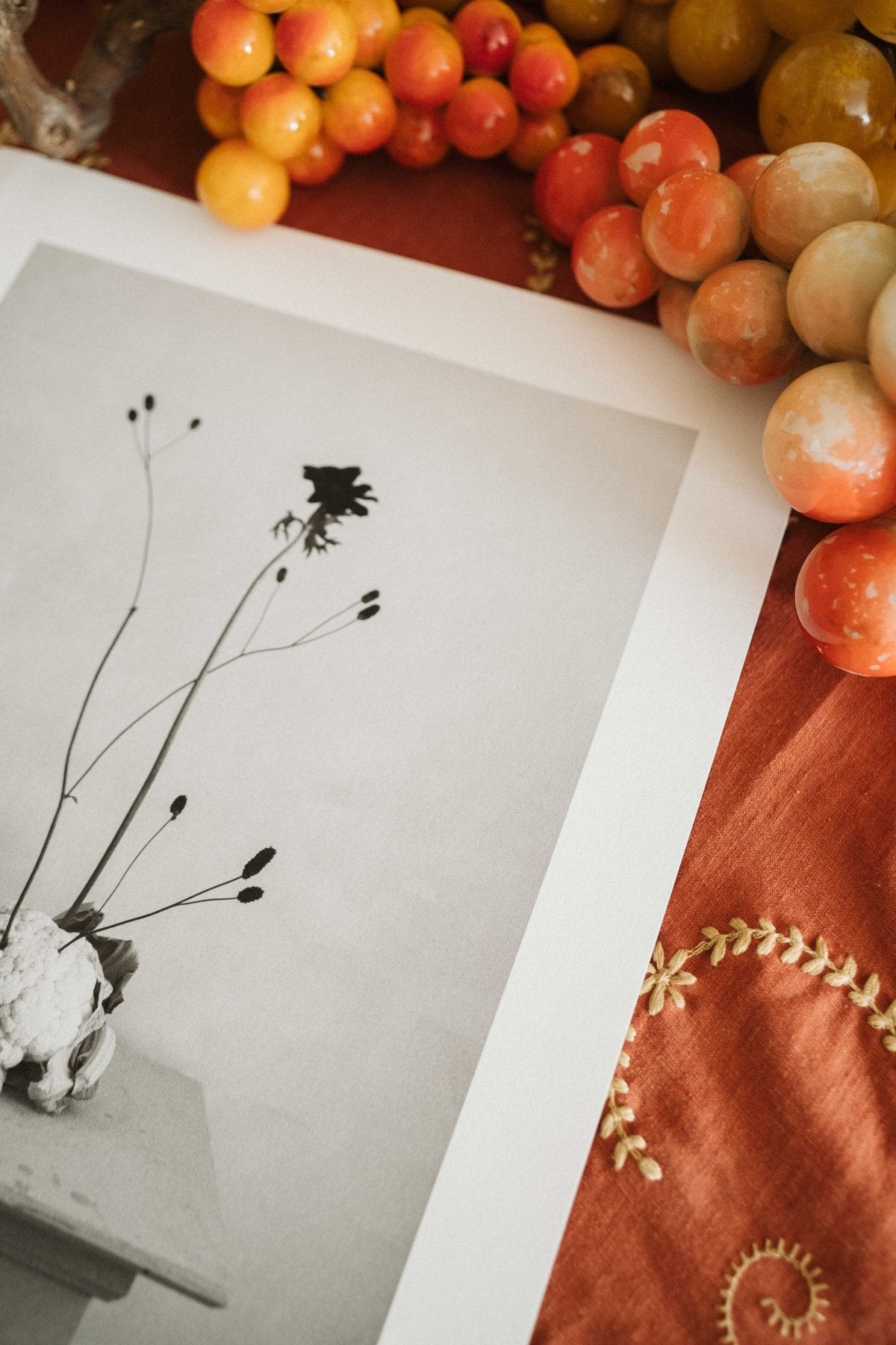 Lámina Delicadeza II - Mónica Ortega PhotosLámina