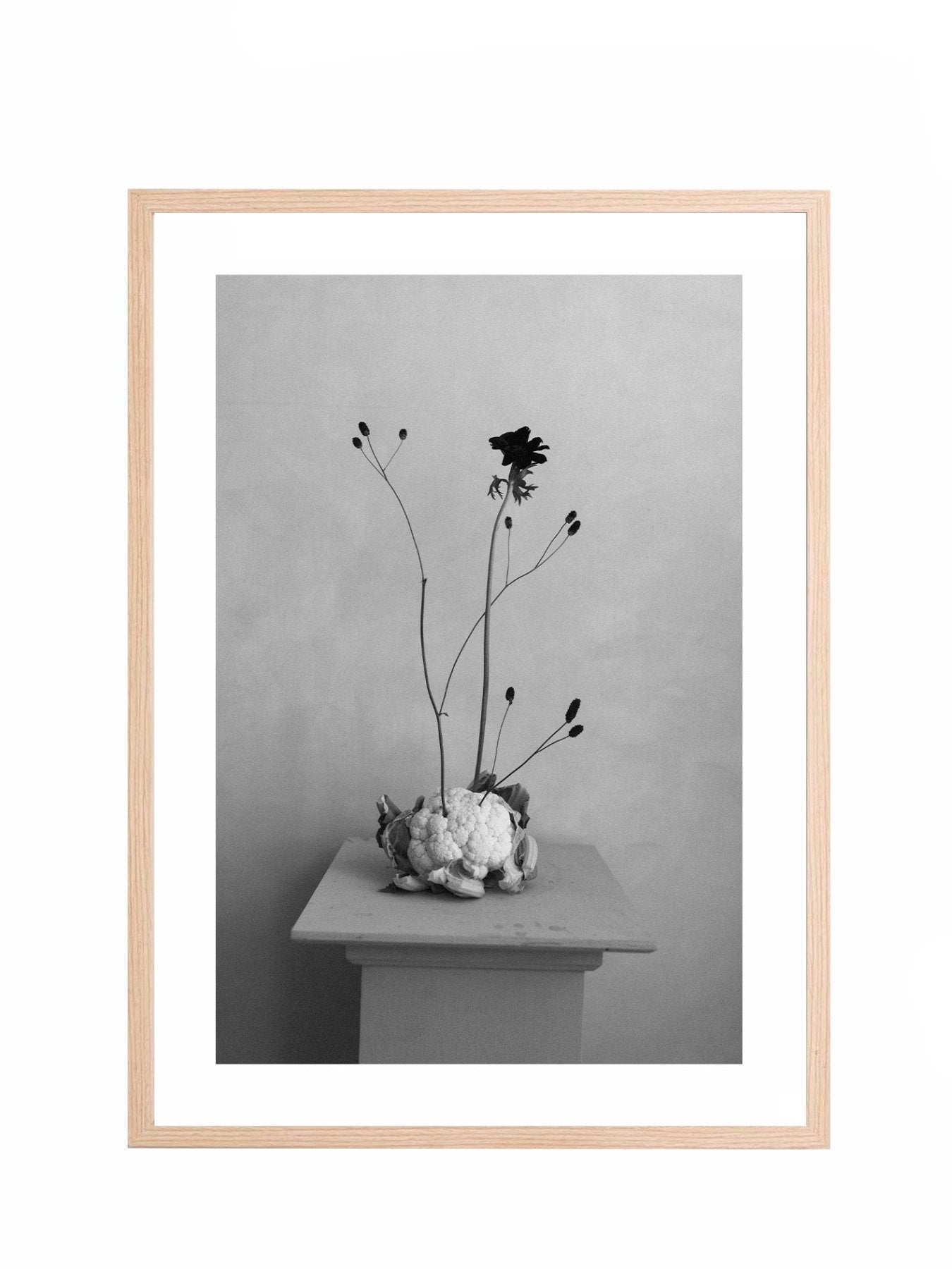 Lámina Delicadeza II - Mónica Ortega PhotosLámina