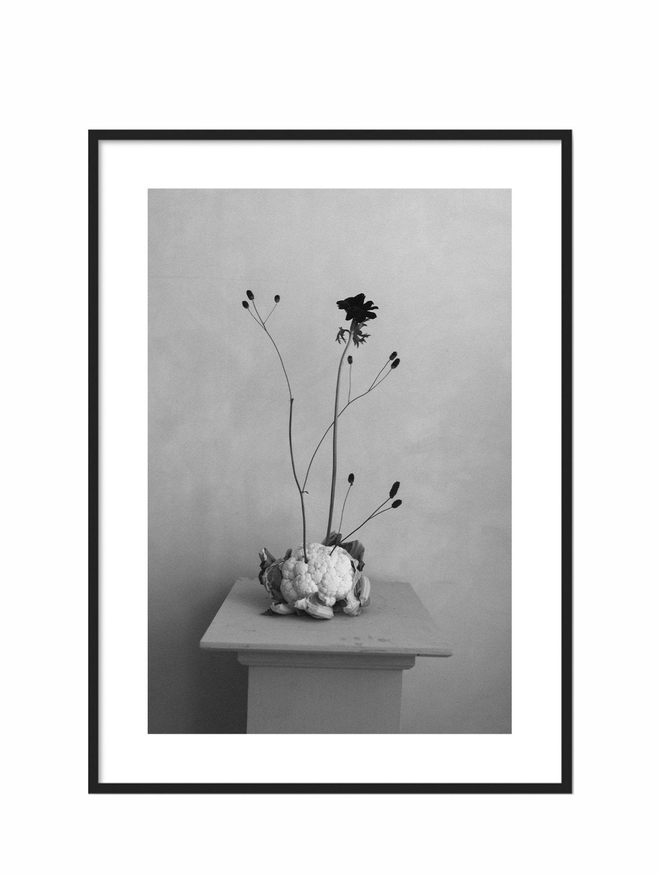 Lámina Delicadeza II - Mónica Ortega PhotosLámina