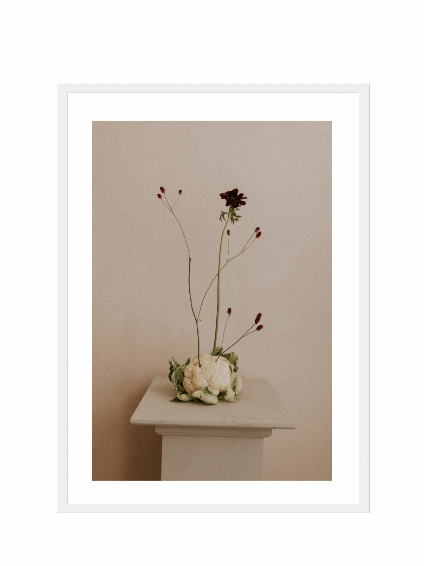 Lámina Delicadeza V - Mónica Ortega PhotosLámina