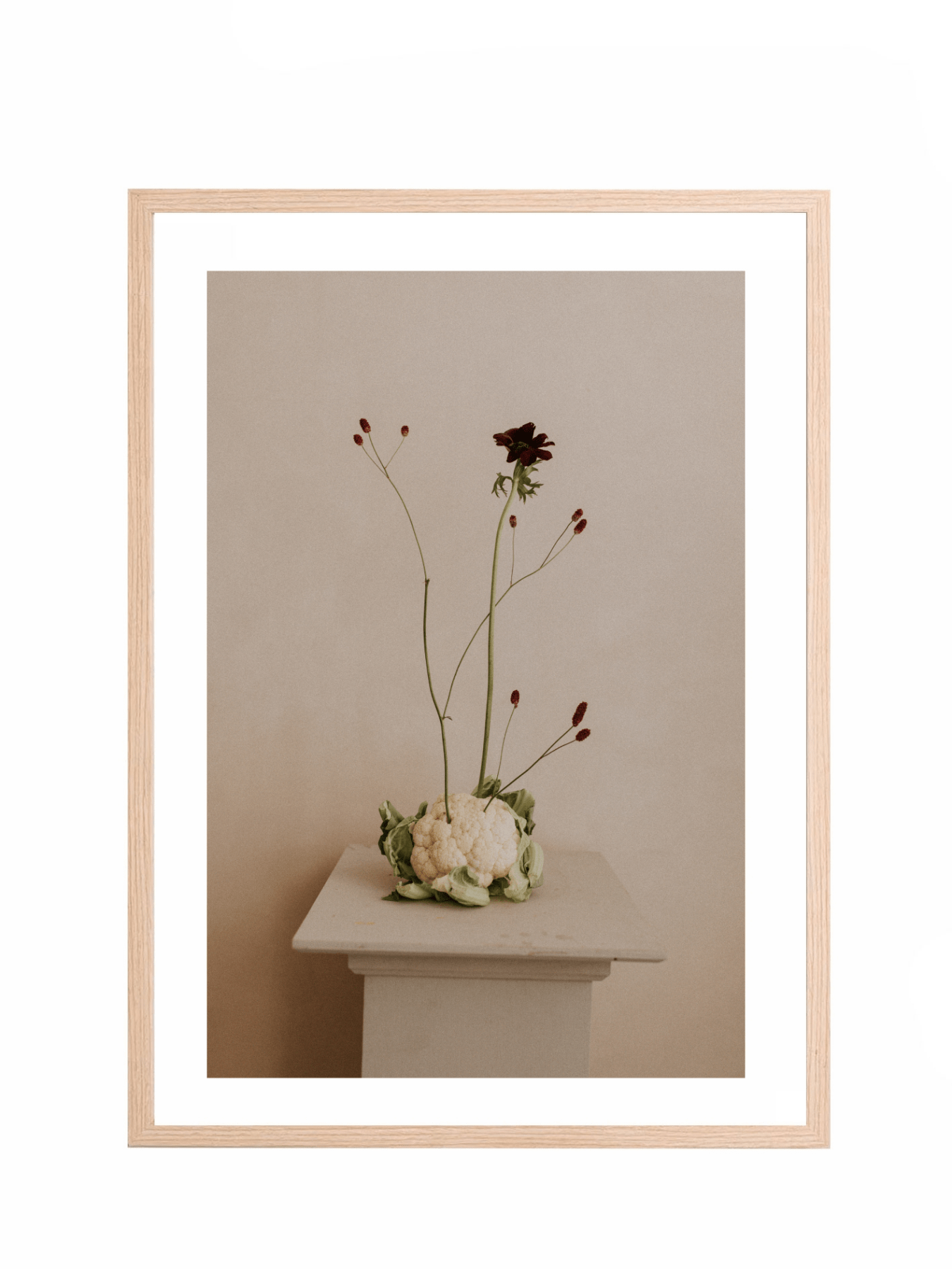 Lámina Delicadeza V - Mónica Ortega PhotosLámina