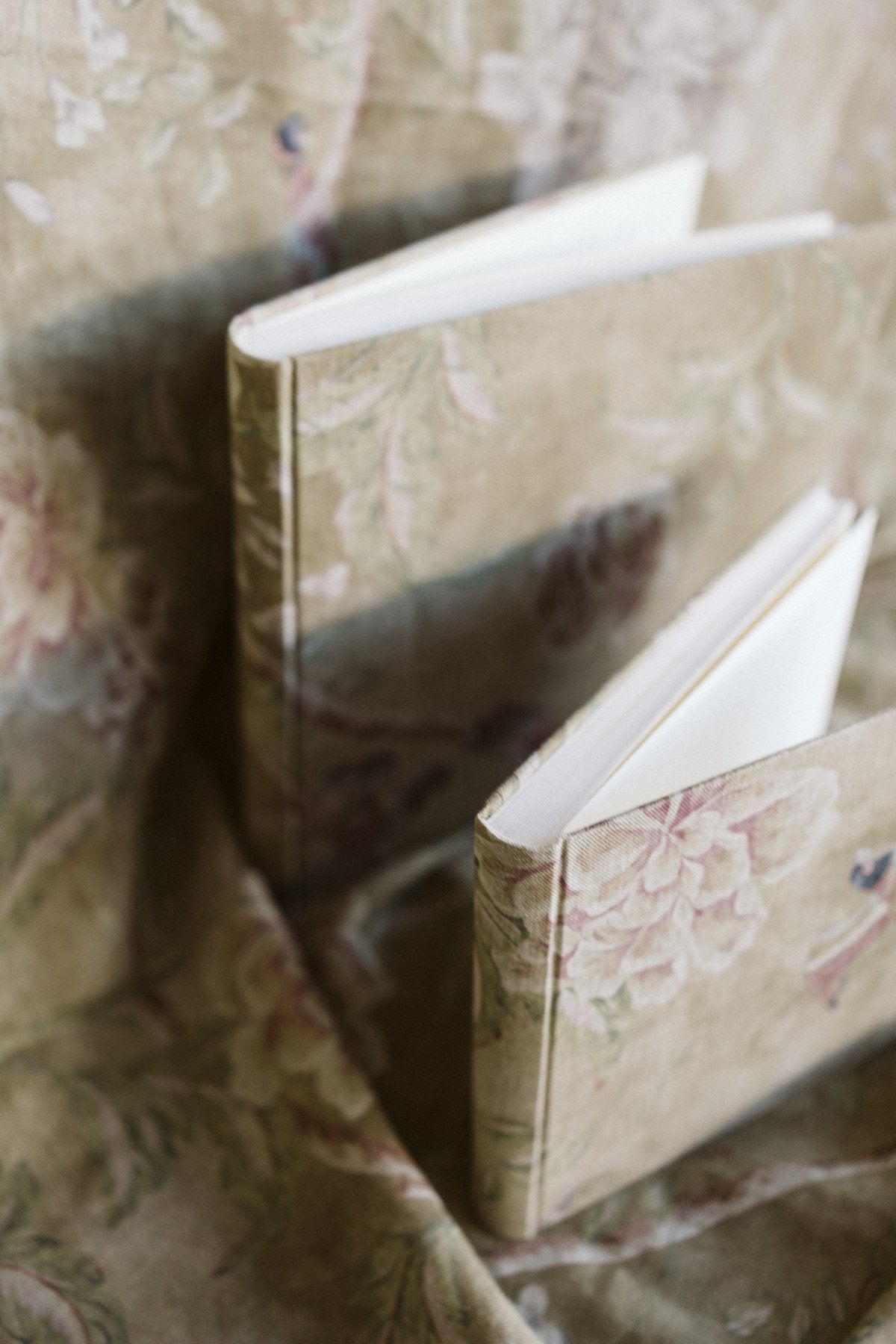 Pájaros Lino Pequeño - Mónica Ortega PhotosÁlbum Pequeño