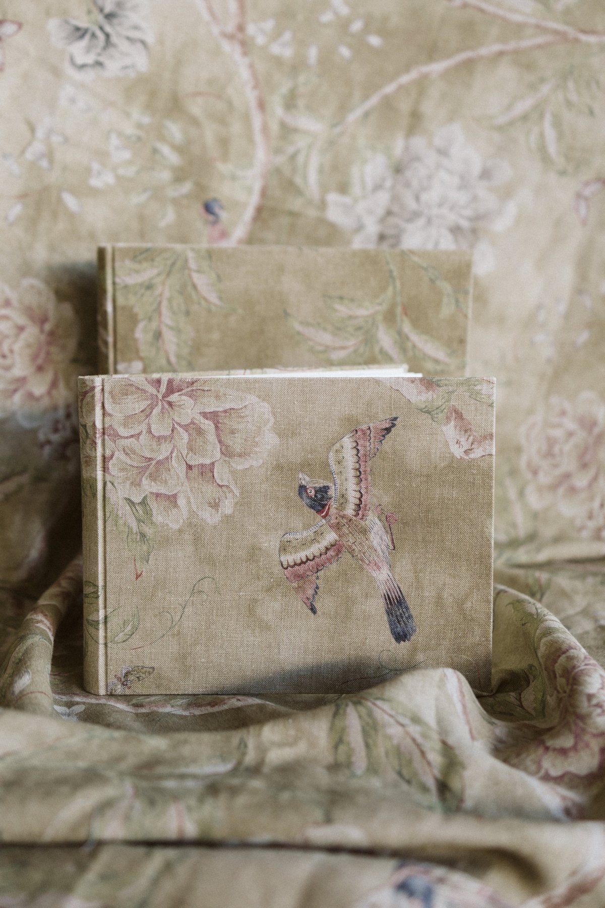 Pájaros Lino Pequeño - Mónica Ortega PhotosÁlbum Pequeño