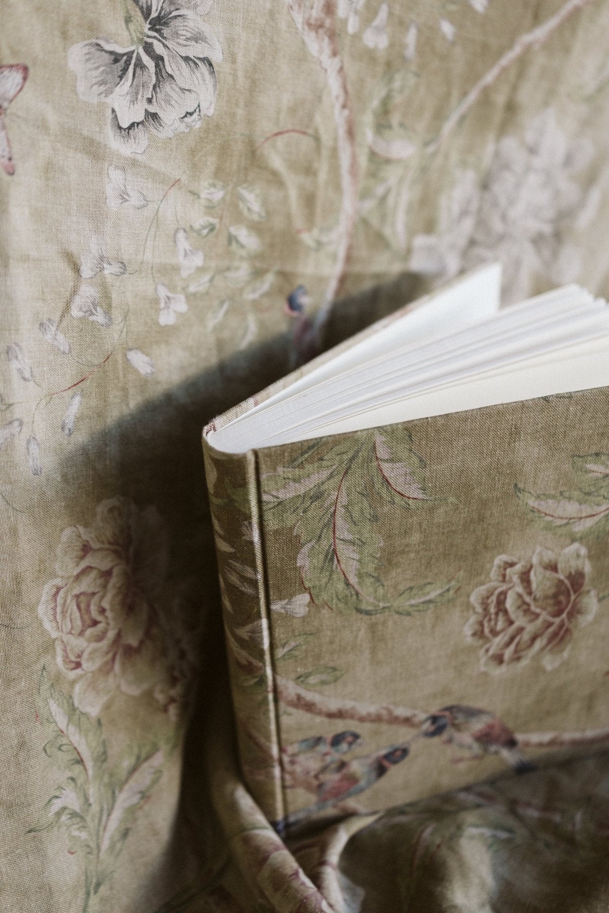 Pájaros Lino Verde - Mónica Ortega PhotosÁlbum Grande