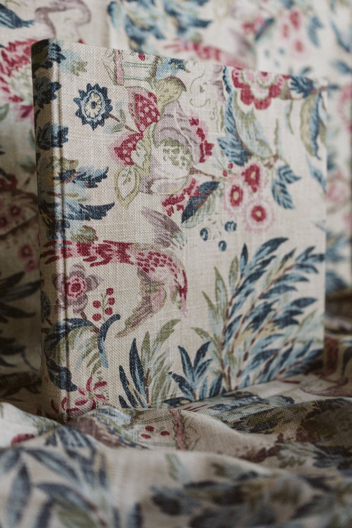 Selva Lino Azul - Mónica Ortega PhotosÁlbum Grande