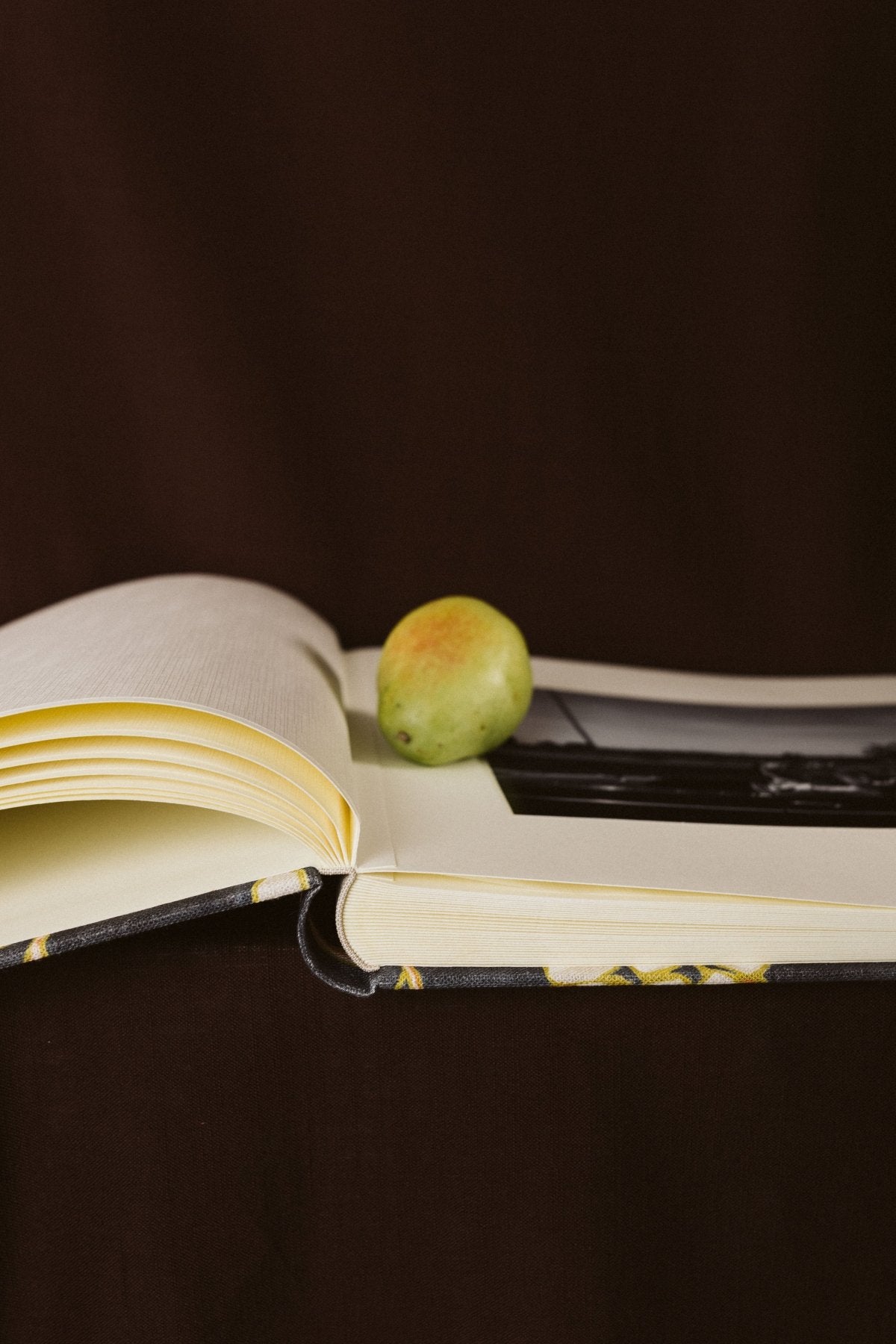 Álbum Aceitunas Blancas - Mónica Ortega PhotosÁlbum Grande