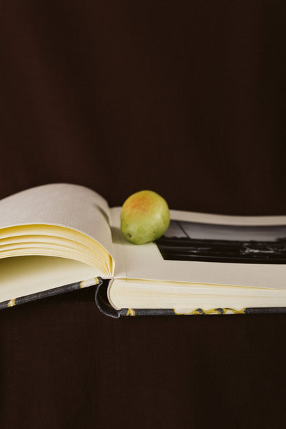 Álbum Aceitunas Blancas - Mónica Ortega PhotosÁlbum Grande