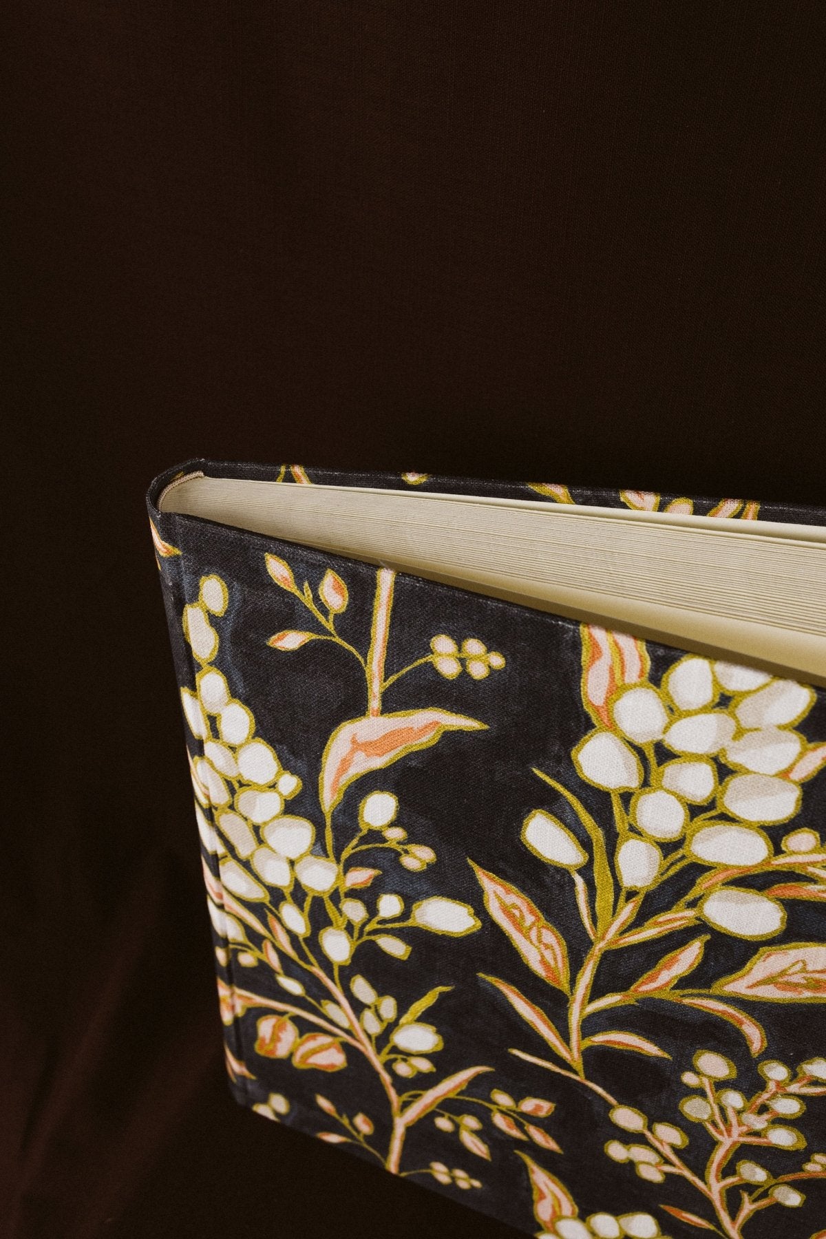 Álbum Aceitunas Blancas - Mónica Ortega PhotosÁlbum Grande