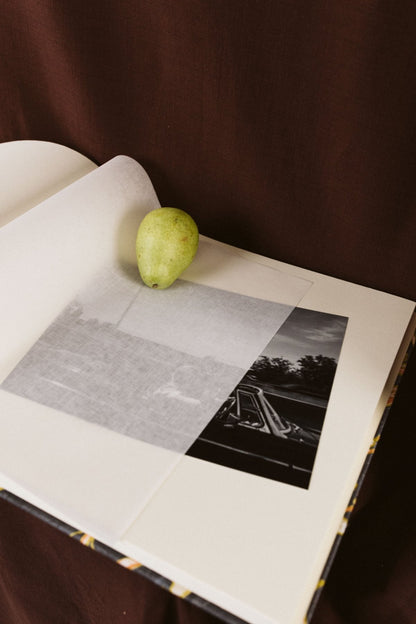 Álbum Aceitunas Blancas - Mónica Ortega PhotosÁlbum Grande