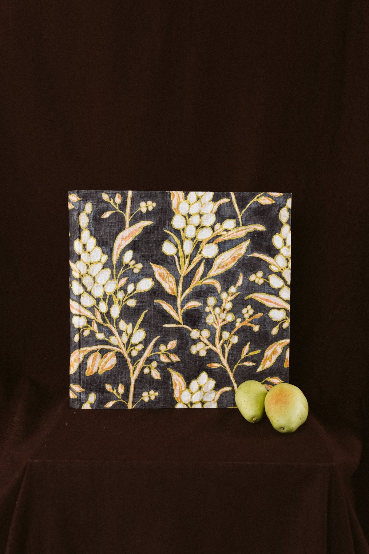 Álbum Aceitunas Blancas - Mónica Ortega PhotosÁlbum Grande