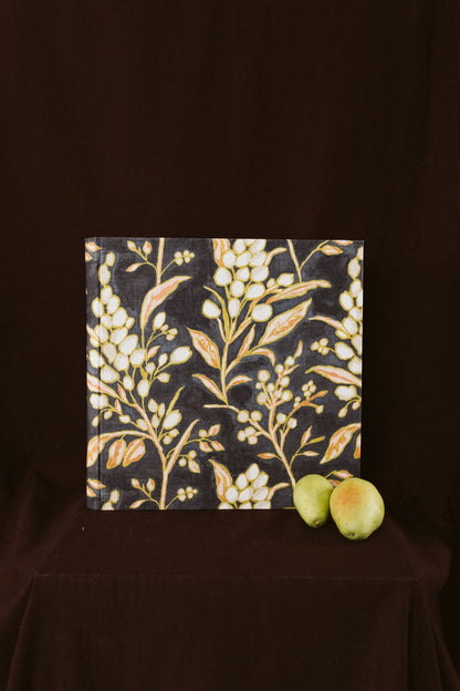 Álbum Aceitunas Blancas - Mónica Ortega PhotosÁlbum Grande