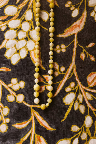 Álbum Aceitunas Blancas Pequeño - Mónica Ortega PhotosÁlbum Pequeño