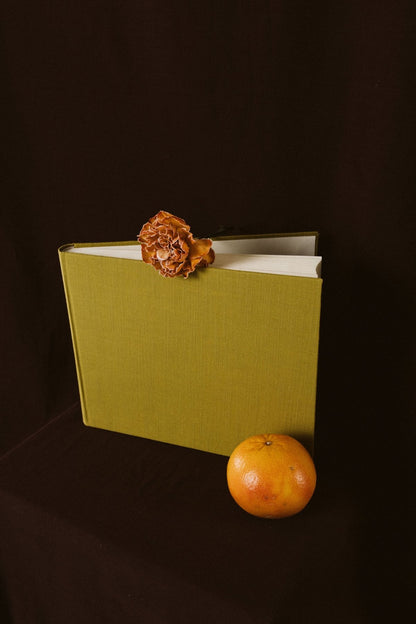 Álbum Lino Oliva - Mónica Ortega PhotosÁlbum Grande