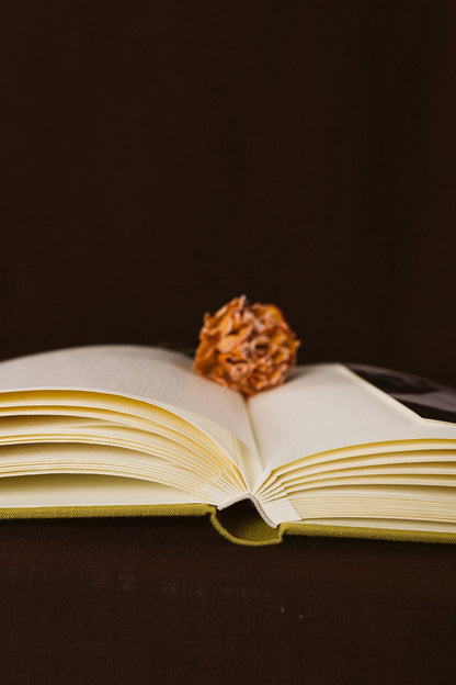 Álbum Lino Oliva - Mónica Ortega PhotosÁlbum Grande