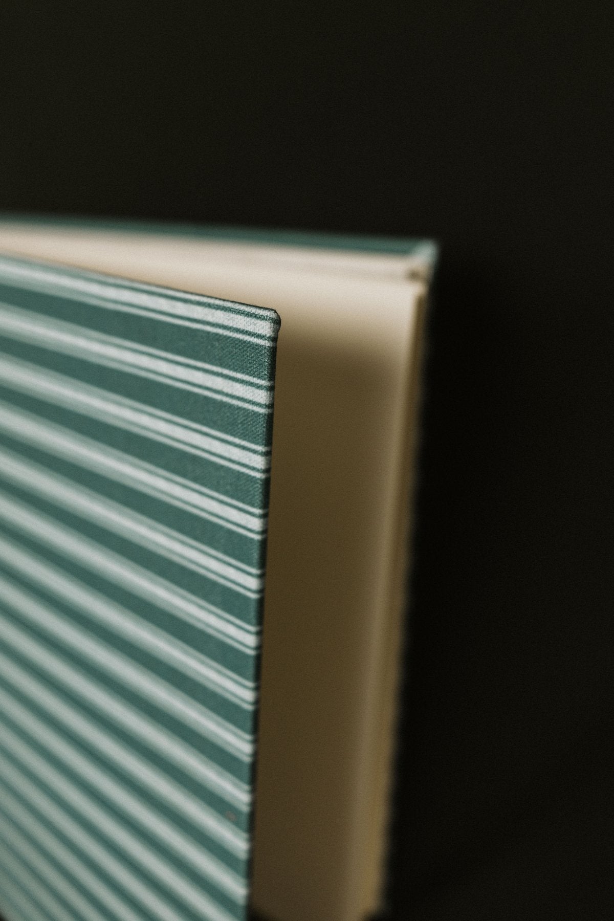 Álbum Rayas Mar - Mónica Ortega PhotosÁlbum Grande