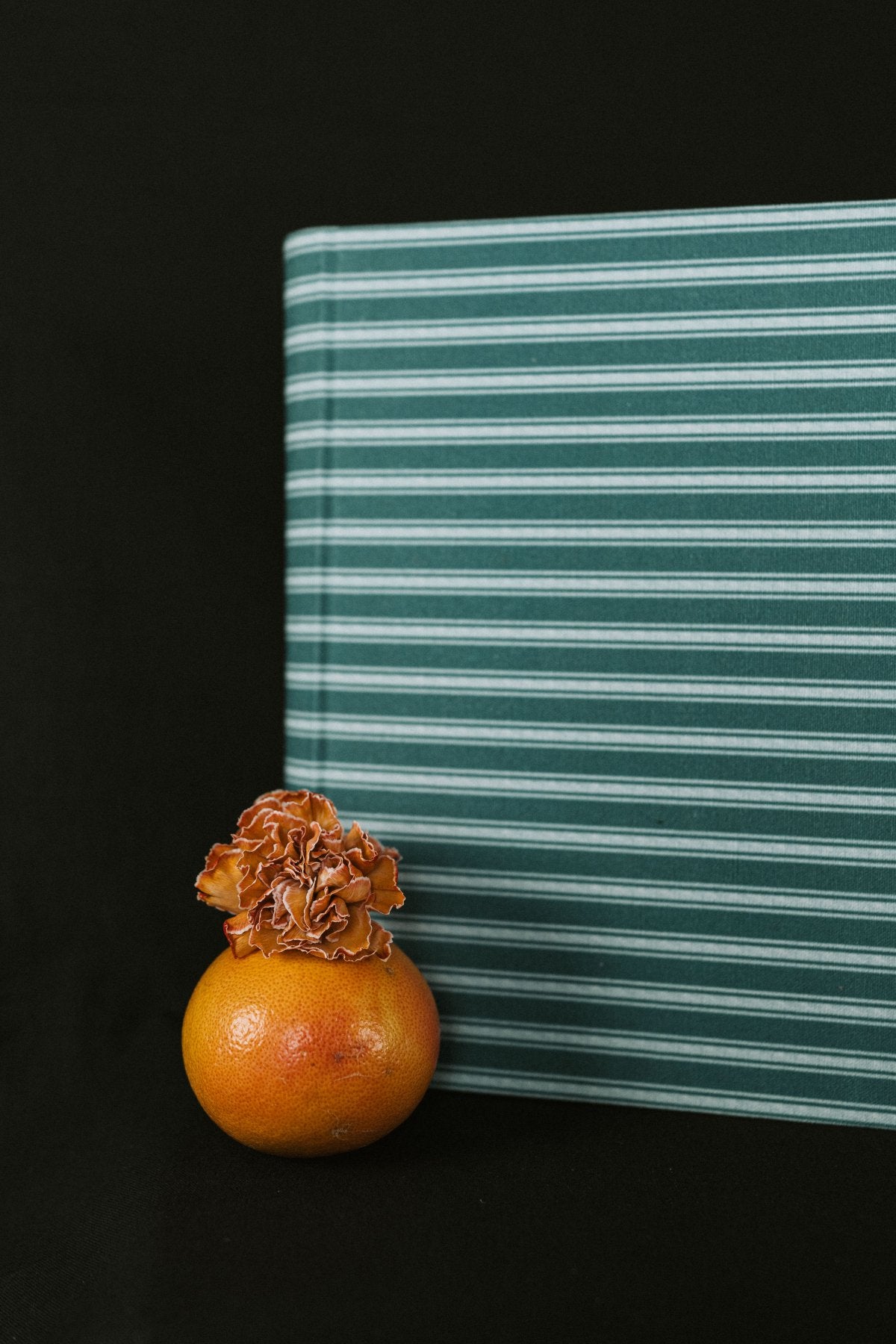 Álbum Rayas Mar - Mónica Ortega PhotosÁlbum Grande