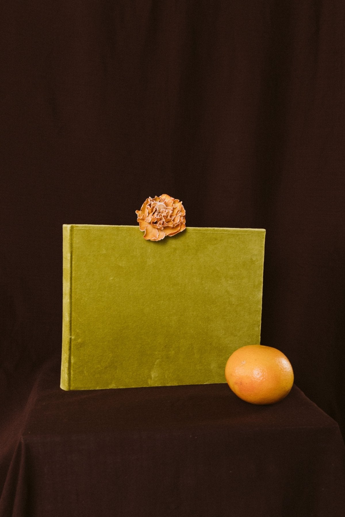 Álbum Terciopelo Oliva Pequeño - Mónica Ortega PhotosÁlbum Pequeño