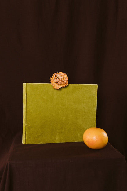 Álbum Terciopelo Oliva Pequeño - Mónica Ortega PhotosÁlbum Pequeño