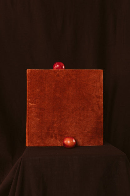 Álbum Terciopelo Sienna - Mónica Ortega PhotosÁlbum Grande