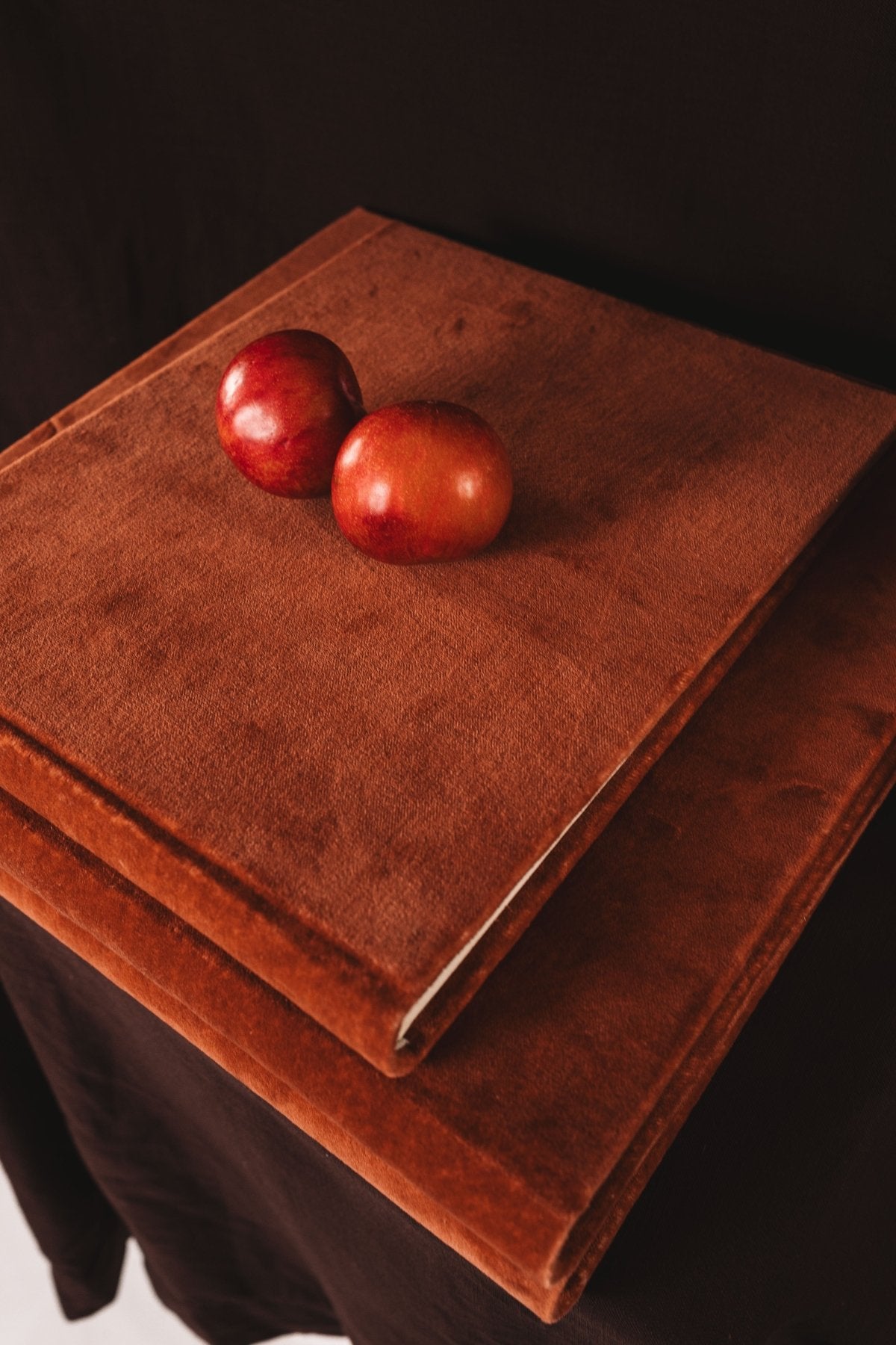 Álbum Terciopelo Sienna - Mónica Ortega PhotosÁlbum Grande