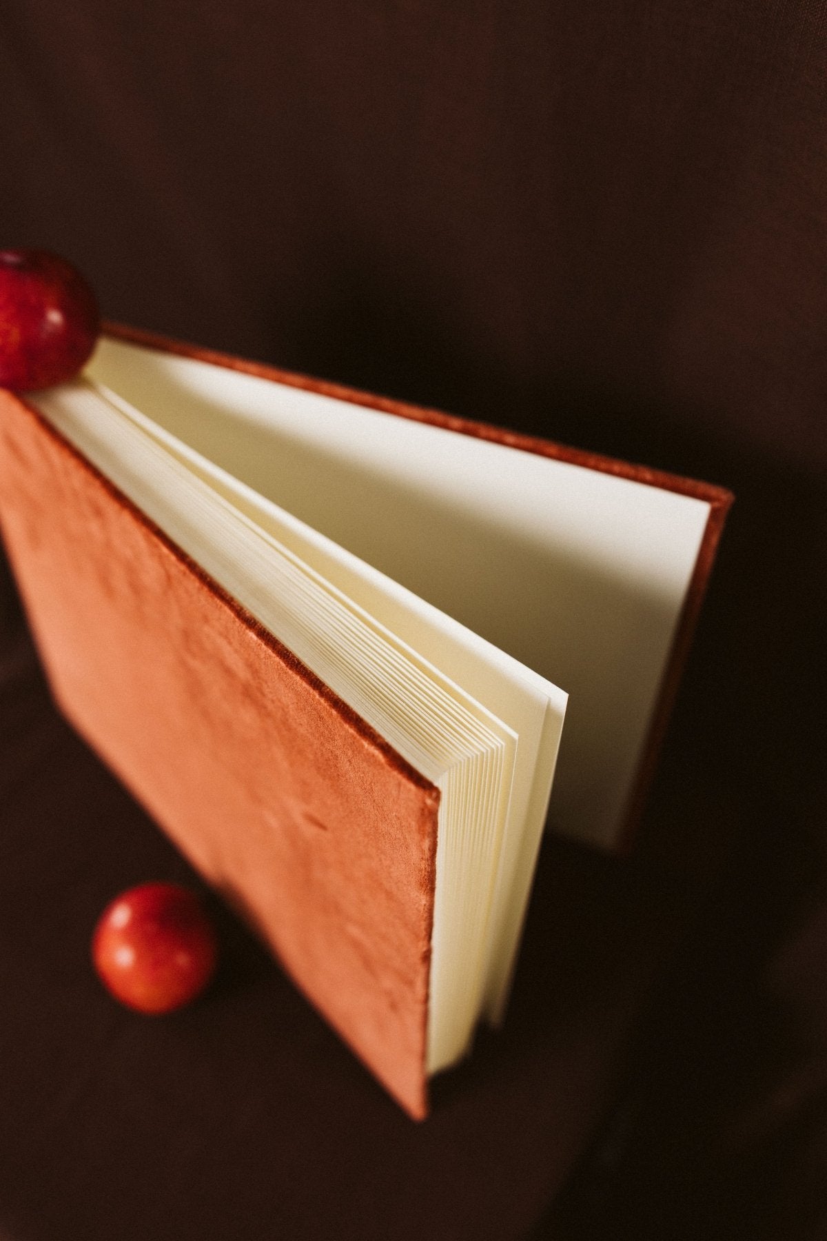 Álbum Terciopelo Sienna - Mónica Ortega PhotosÁlbum Grande