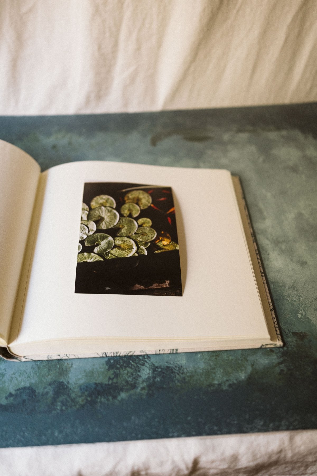 Álbum Toile de Jouy Verde - Mónica Ortega PhotosÁlbum Grande