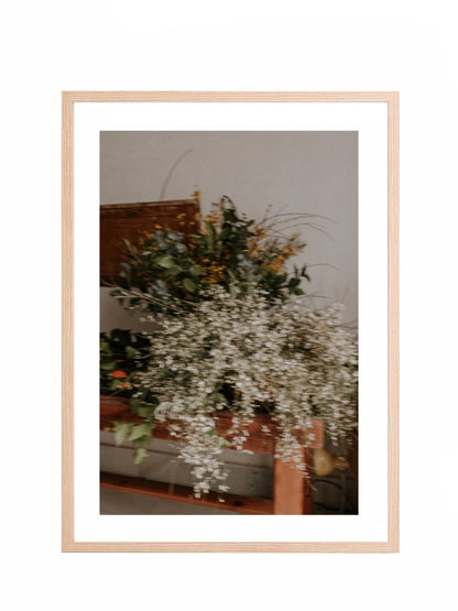 Lámina Cítricos III - Mónica Ortega PhotosLámina