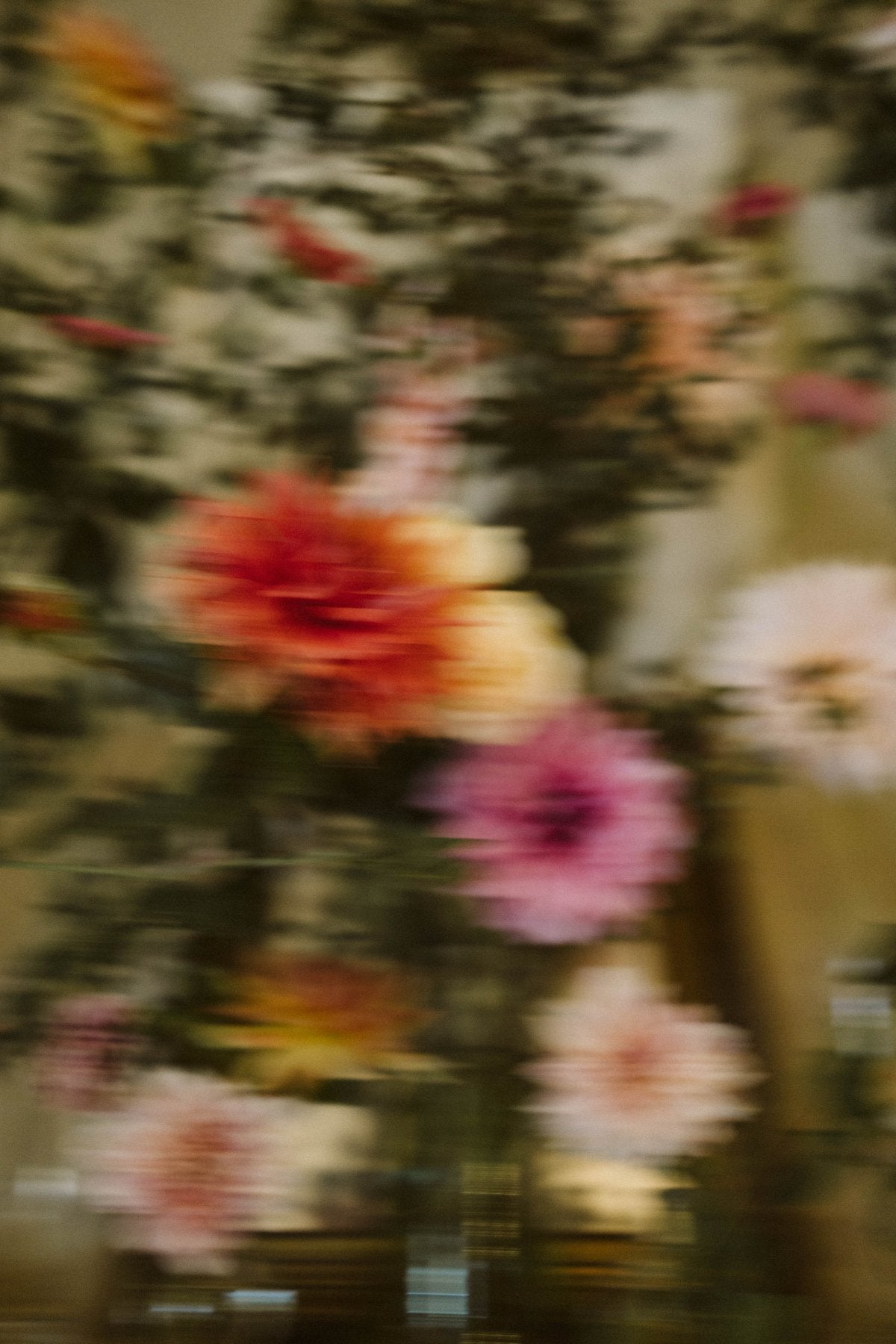 Lámina Colores - Mónica Ortega PhotosLámina