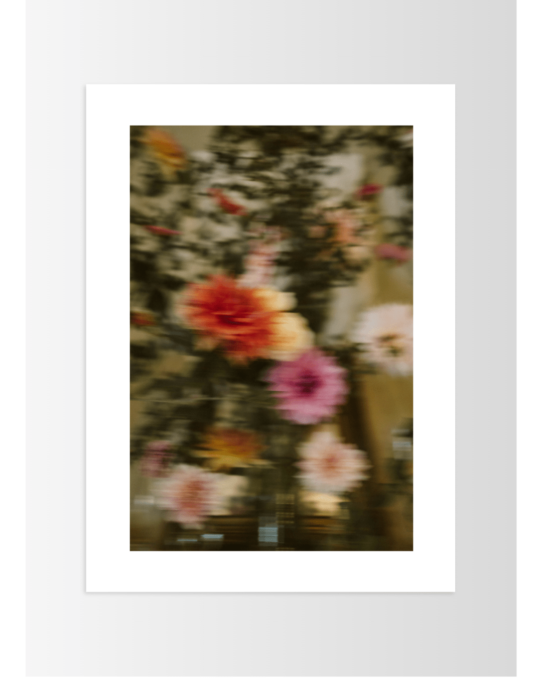 Lámina Colores - Mónica Ortega PhotosLámina