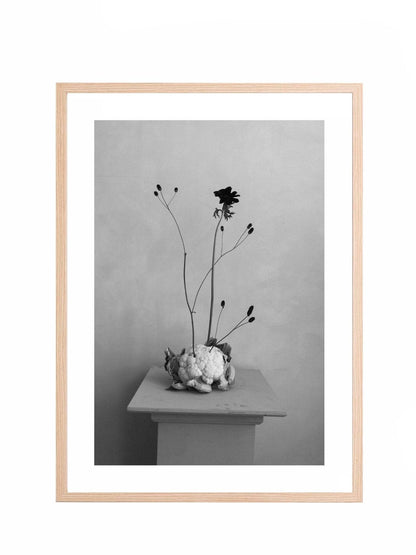 Lámina Delicadeza II - Mónica Ortega PhotosLámina