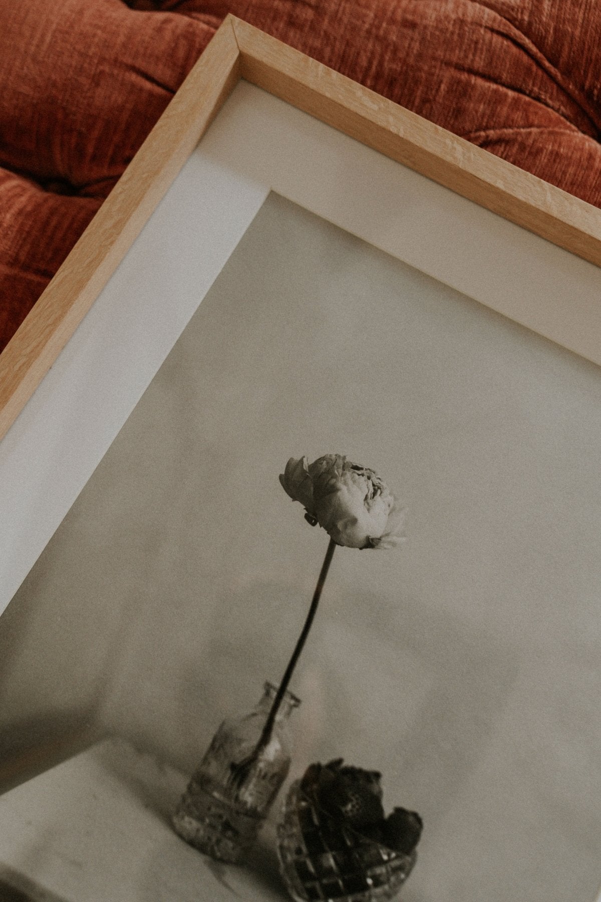 Lámina Delicadeza III - Mónica Ortega PhotosLámina