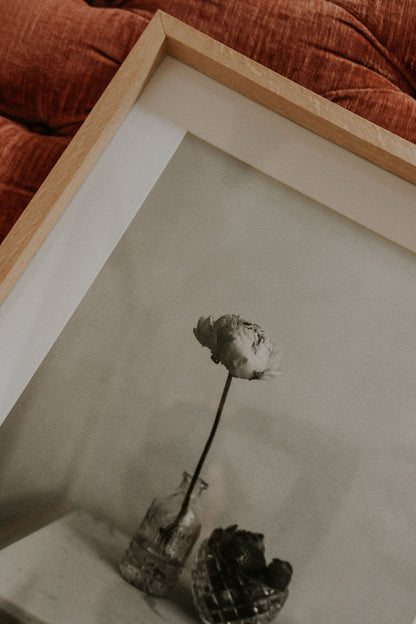 Lámina Delicadeza III - Mónica Ortega PhotosLámina