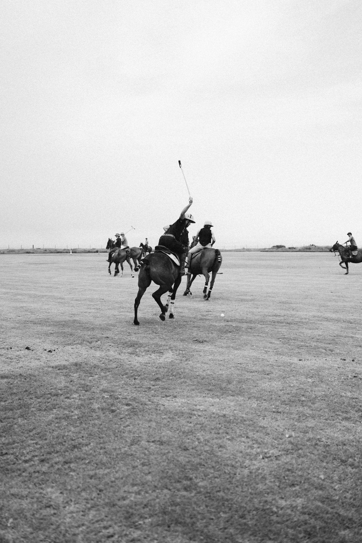 Lámina Polo II - Mónica Ortega PhotosLámina